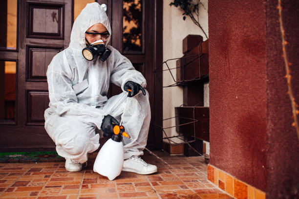 Reliable Mosquito Control contractor in Surprise, AZ by Show Me Pest Control